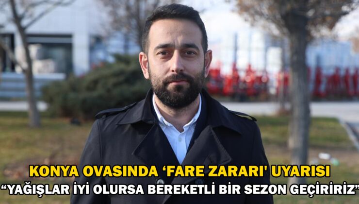 Konya Ovasında ‘Fare Zararı’ Uyarısı