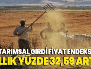 Tarımsal Girdi Fiyat Endeksi Yıllık Yüzde 32,59 Arttı