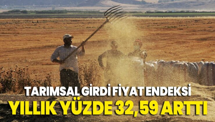 Tarımsal Girdi Fiyat Endeksi Yıllık Yüzde 32,59 Arttı