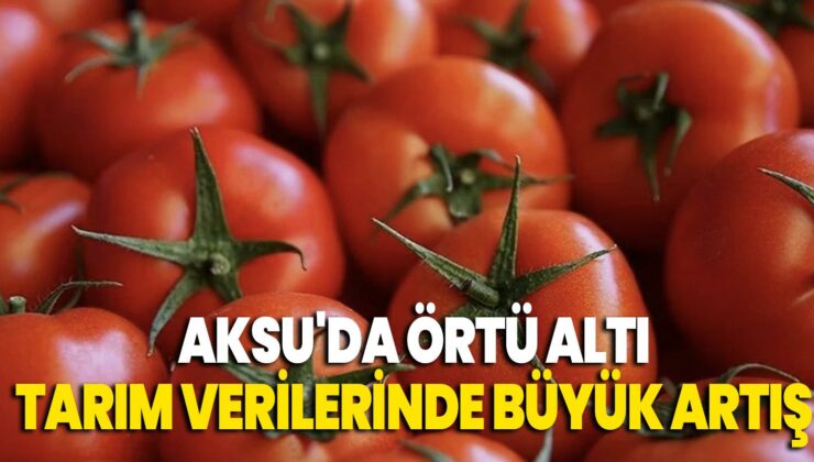 Aksu’Da Örtü Altı Tarım Verilerinde Büyük Artış