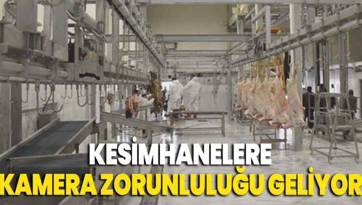 Kesimhanelere Kamera Zorunluluğu Geliyor