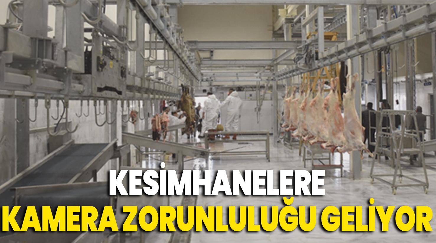 Kesimhanelere kamera zorunluluğu geliyor