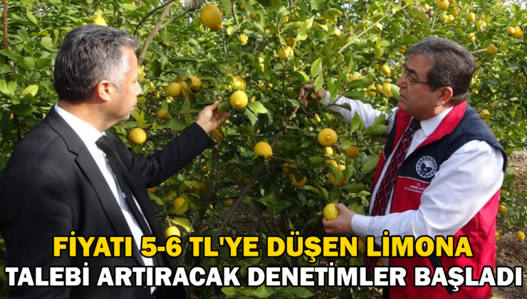 Fiyatı 5-6 TL’ye düşen limona talebi artıracak denetimler başladı