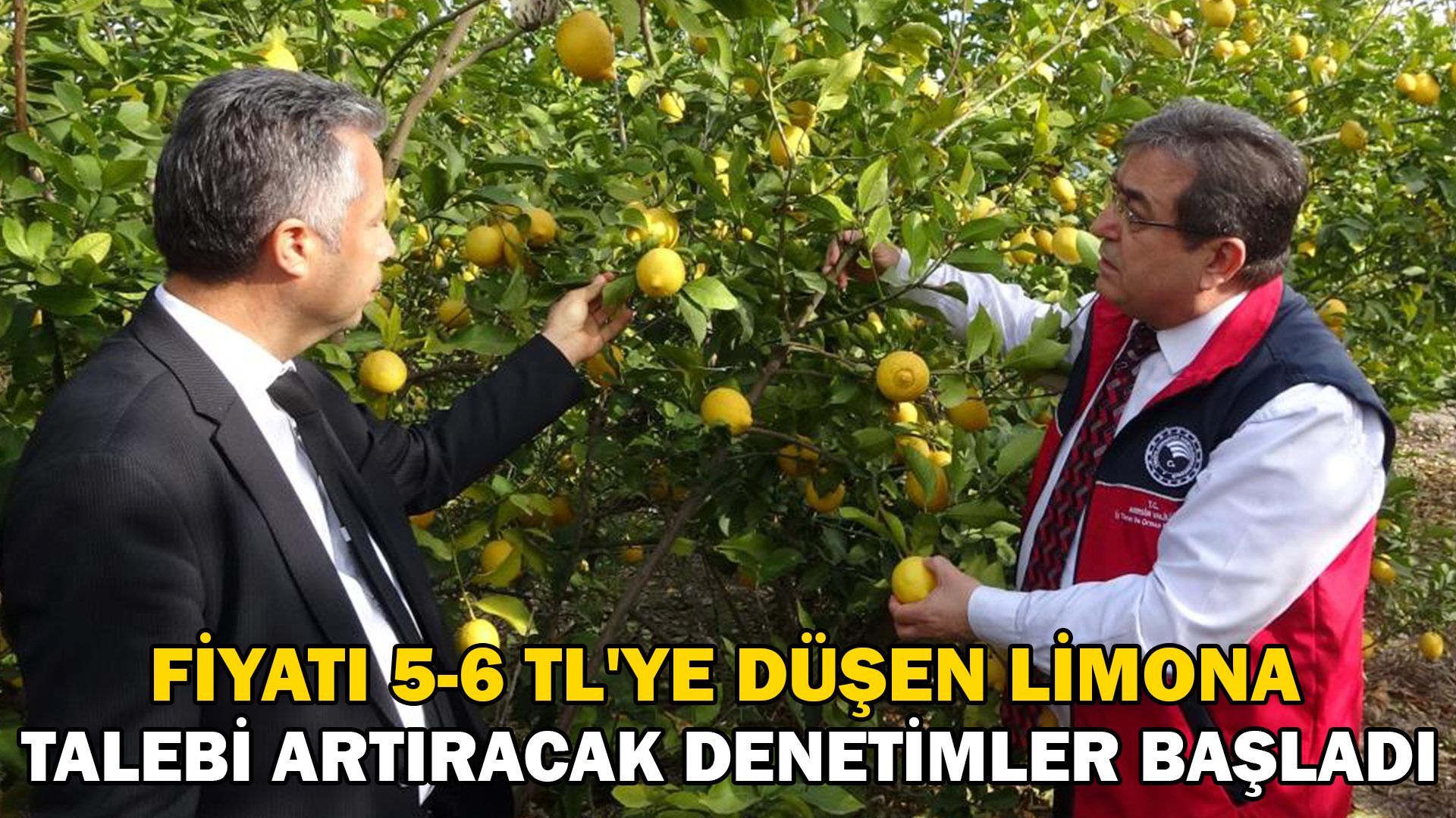 Fiyatı 5-6 TL’ye düşen limona talebi artıracak denetimler başladı