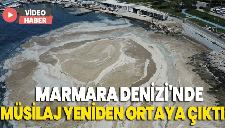 Marmara Denizi’Nde Müsilaj Yeniden Ortaya Çıktı