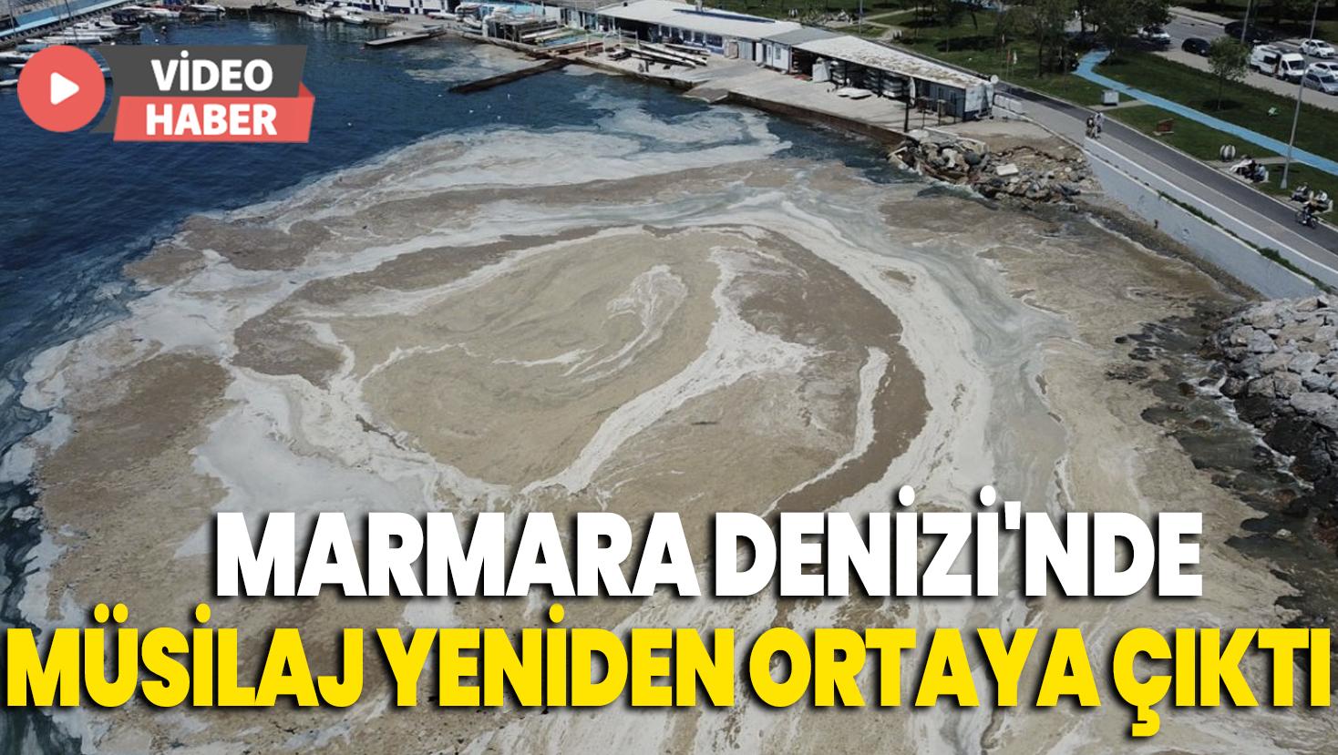 Marmara Denizi’nde müsilaj yeniden ortaya çıktı