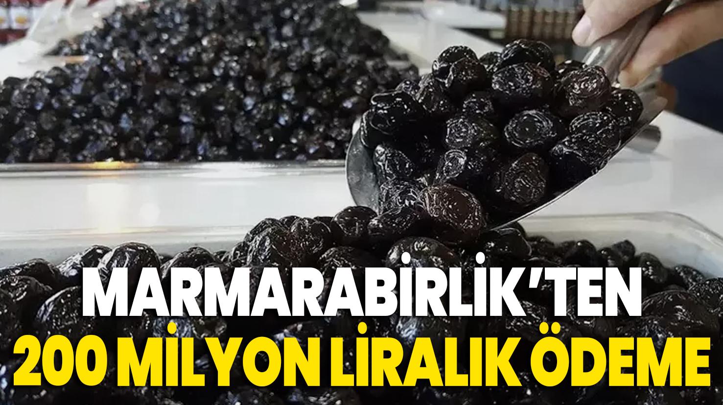 Marmarabirlik’ten 200 milyon liralık ödeme