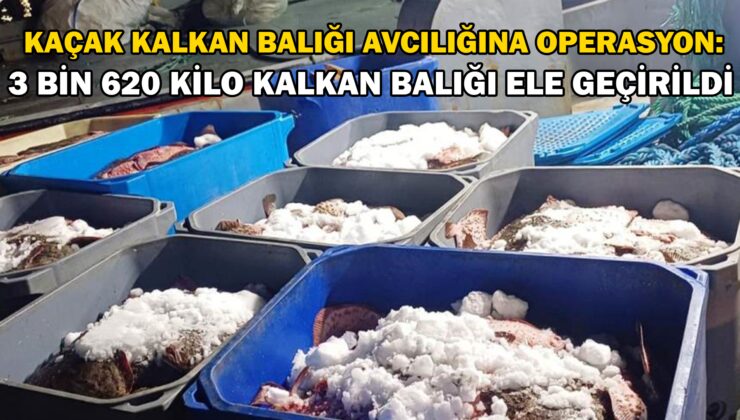 Kaçak Kalkan Balığı Avcılığına Operasyon: 3 Bin 620 Kilo Kalkan Balığı Ele Geçirildi