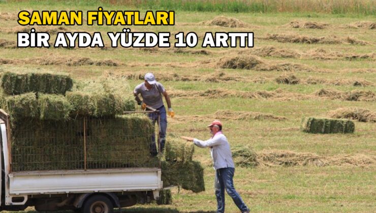 Saman Fiyatları Bir Ay Öncesine Göre Yüzde 10, Eylüle Göre Yüzde 20 Arttı