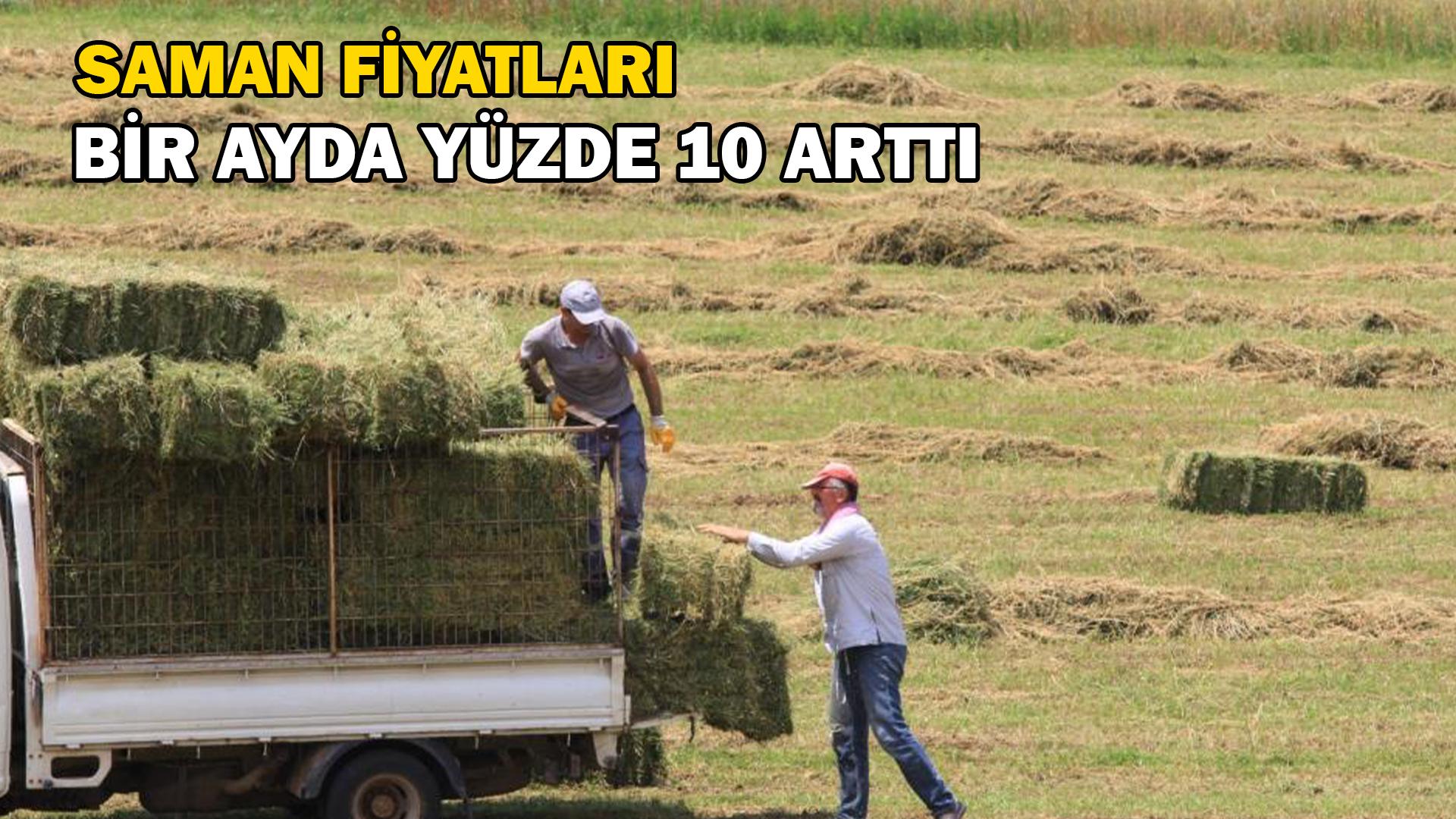 Saman fiyatları bir ay öncesine göre yüzde 10, eylüle göre yüzde 20 arttı