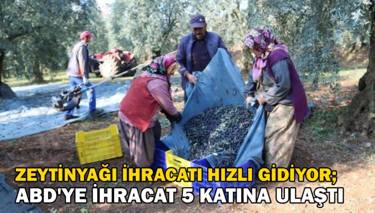 Zeytinyağı Ihracatı Hızlı Gidiyor, Abd’Ye Ihracat 5 Katına Ulaştı