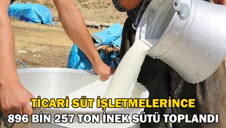 Ticari süt işletmelerince 896 bin 257 ton inek sütü toplandı