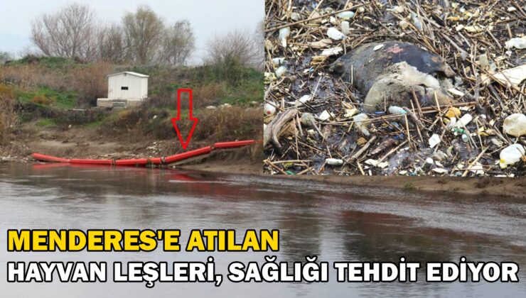 Menderes’e atılan hayvan leşleri, sağlığı tehdit ediyor