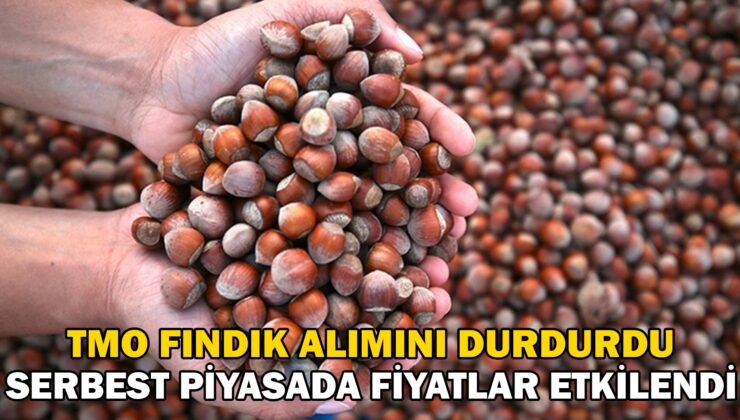 Tmo Fındık Alımını Durdurdu, Serbest Piyasada Fiyatlar Etkilendi