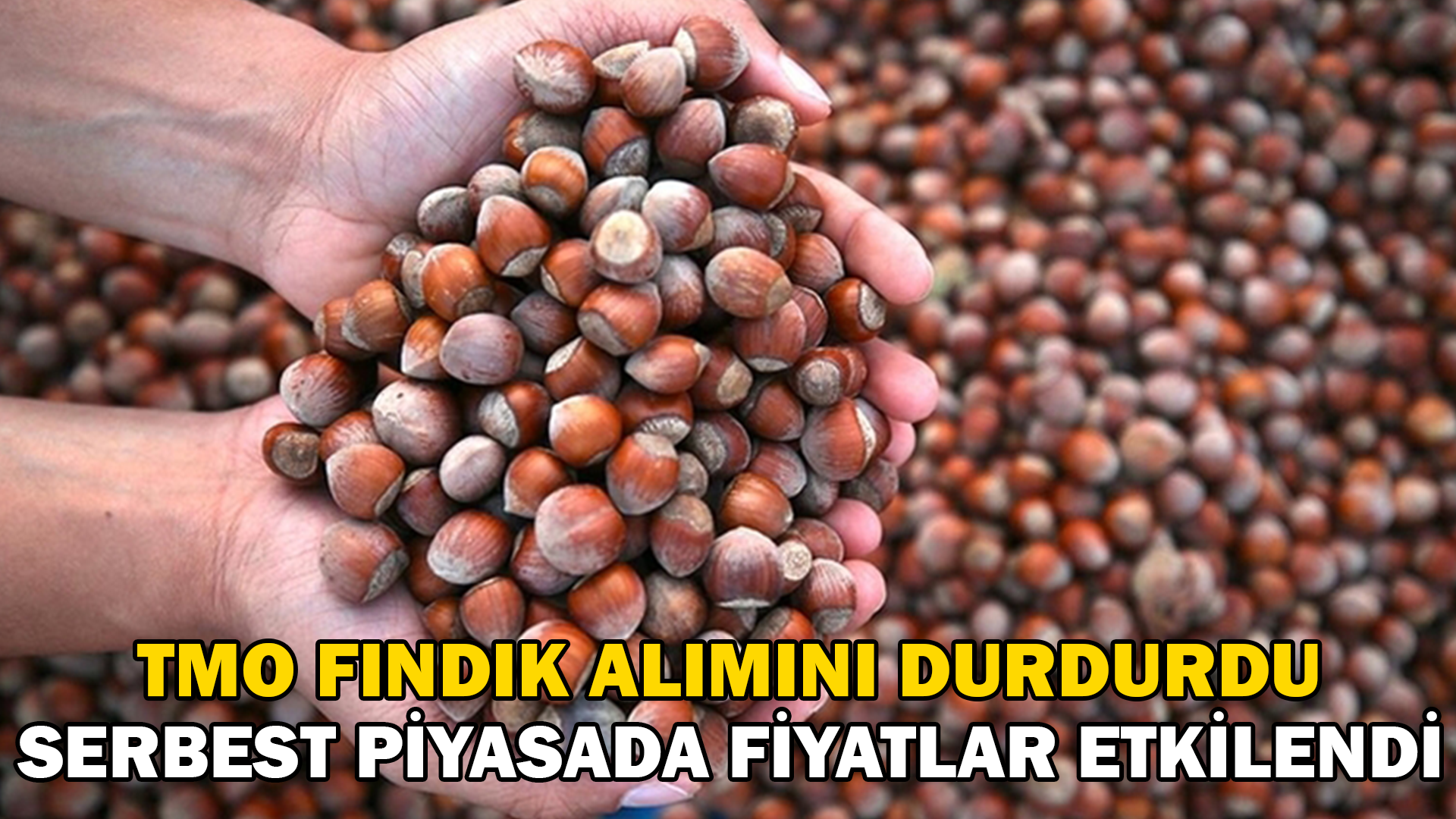 TMO fındık alımını durdurdu, serbest piyasada fiyatlar etkilendi