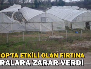 Sinop’Ta Etkili Olan Fırtına Seralara Zarar Verdi