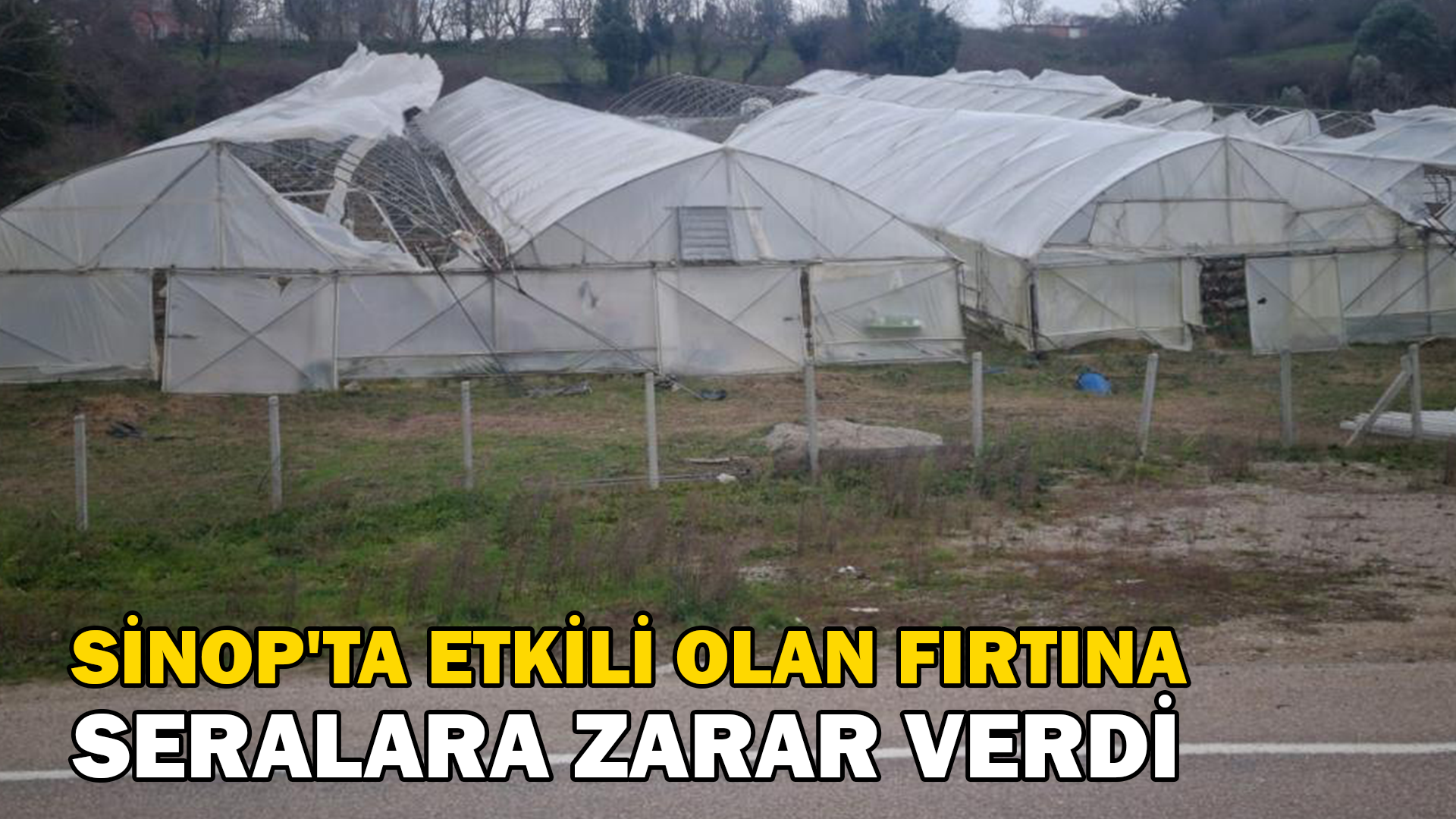 Sinop’ta etkili olan fırtına seralara zarar verdi