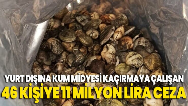 Yurt Dışına Kum Midyesi Kaçırmaya Çalışan 46 Kişiye 11 Milyon Lira Ceza