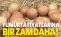 Yumurta fiyatlarına bir zam daha