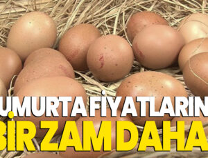 Yumurta Fiyatlarına Bir Zam Daha