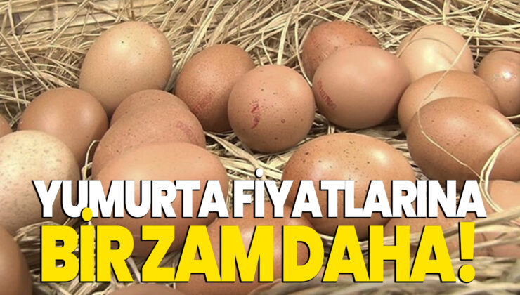 Yumurta Fiyatlarına Bir Zam Daha