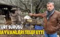 Çiftliklere giren kurt sürüsü hayvanları telef etti