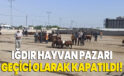 Iğdır hayvan pazarı geçici olarak kapatıldı