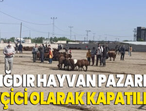 Iğdır Hayvan Pazarı Geçici Olarak Kapatıldı