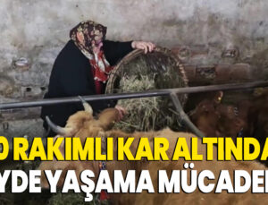 900 Rakımlı Kar Altındaki Köyde Yaşama Mücadelesi