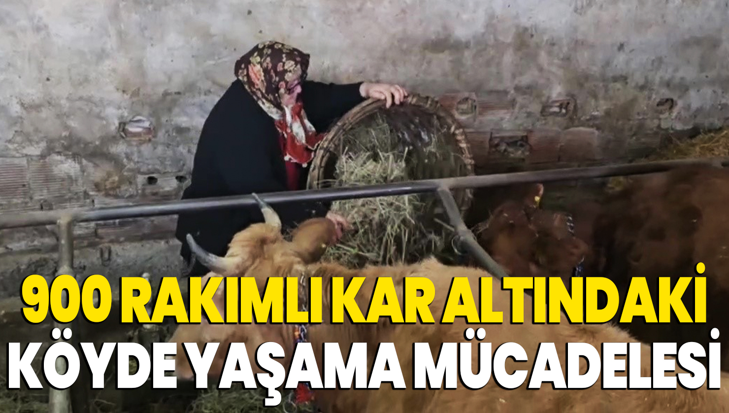 900 rakımlı kar altındaki köyde yaşama mücadelesi