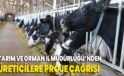 Tarım ve Orman İl Müdürlüğü’nden üreticilere proje çağrısı