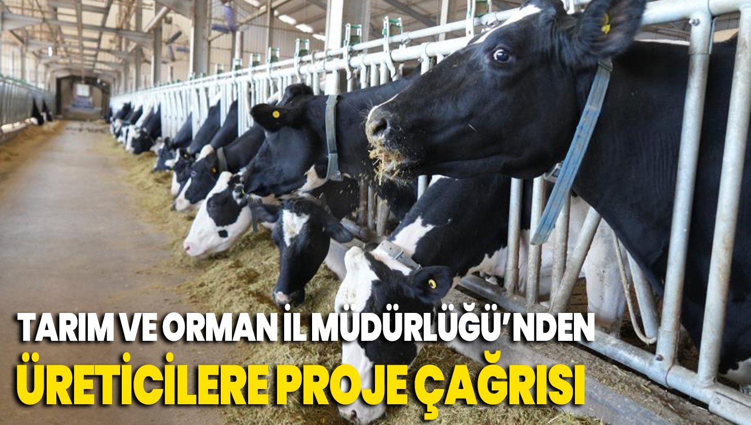 Tarım ve Orman İl Müdürlüğü’nden üreticilere proje çağrısı