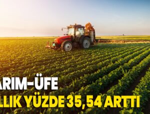 Tarım-Üfe Yıllık Yüzde 35,54 Arttı