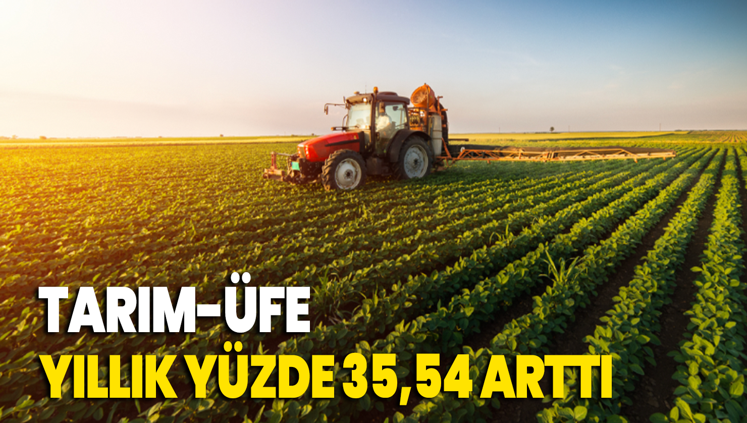 Tarım-ÜFE yıllık yüzde 35,54 arttı