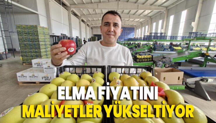 Maliyetler, elma fiyatını yükseltiyor