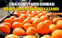 Zirai don uyarısı sonrası mandalina hasadı hız kazandı