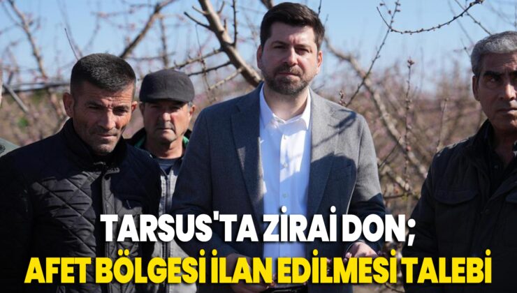 Tarsus’Ta Dondan Zarar Gören Bölgelerin Afet Bölgesi Ilan Edilmesi Talebi