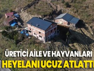 Gece Büyük Gürültüyle Uyandılar: Bir Aile Ve 15 Büyükbaş Hayvan Heyelanı Ucuz Atlattı