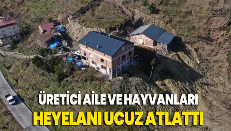 Gece büyük gürültüyle uyandılar: Bir aile ve 15 büyükbaş hayvan heyelanı ucuz atlattı