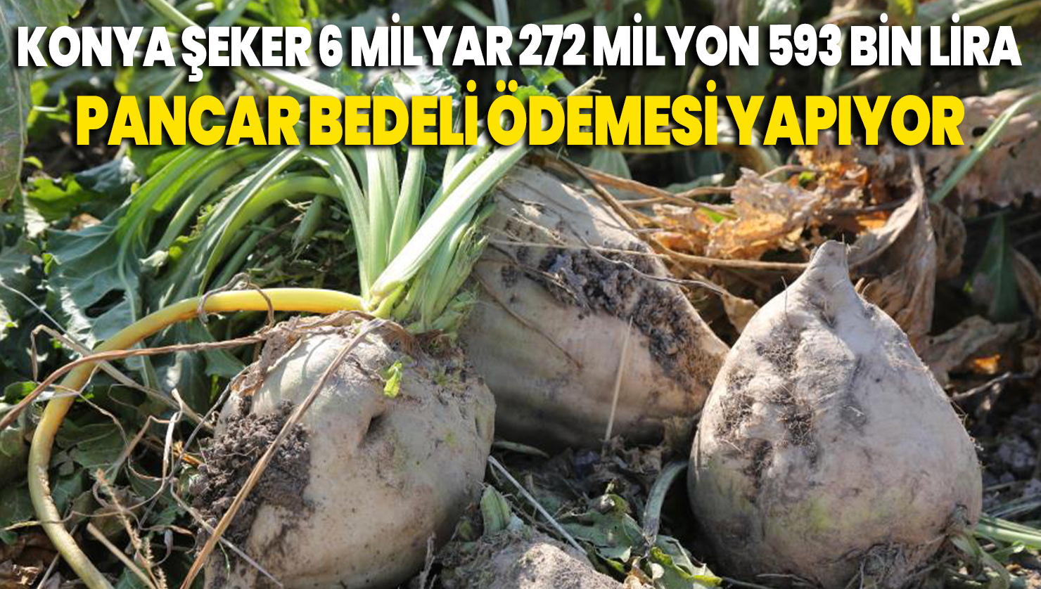 Konya Şeker 6 milyar 272 milyon 593 bin lira pancar bedeli ödemesi yapıyor