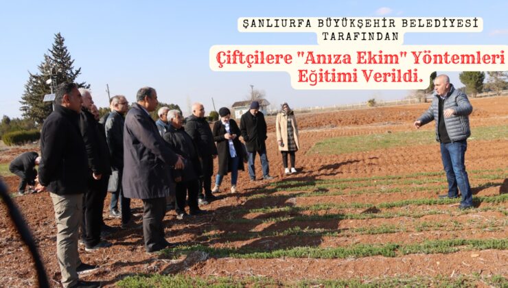 Şanlıurfa Büyükşehir Belediyesi Tarafından Çiftçilere “Anıza Ekim” Yöntemleri Eğitimi Verildi.