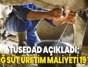 Tüsedad Açıkladı; Çiğ Süt Üretim Maliyeti 19 Tl