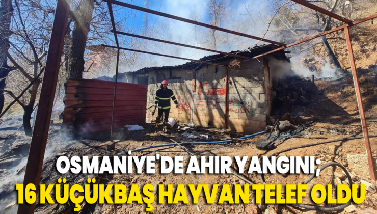 Osmaniye’De Ahırdaki Yangında 16 Küçükbaş Hayvan Telef Oldu