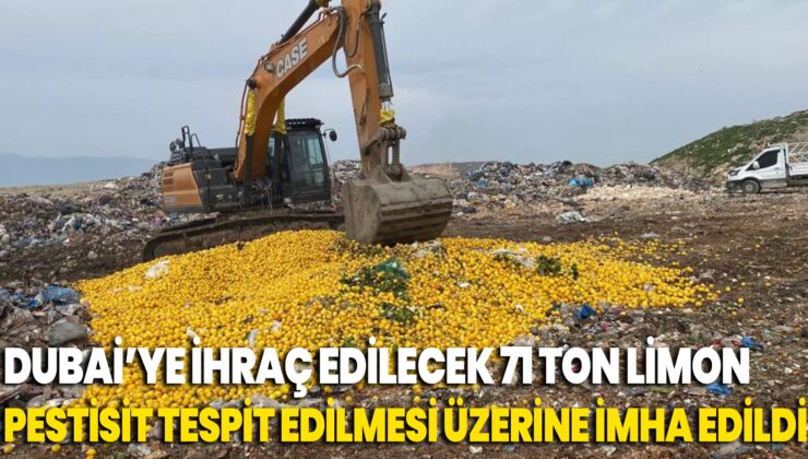 Pestisit Tespit Edilen Dubai’ye Ihraç Edilecek 71 Ton Limon Imha Edildi