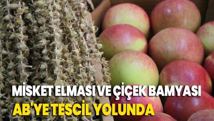 Amasya’Nın Misket Elması Ve Çiçek Bamyası Ab’Ye Tescil Yolunda