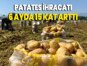 Patates Ihracatı 6 Ayda 15 Kat Arttı