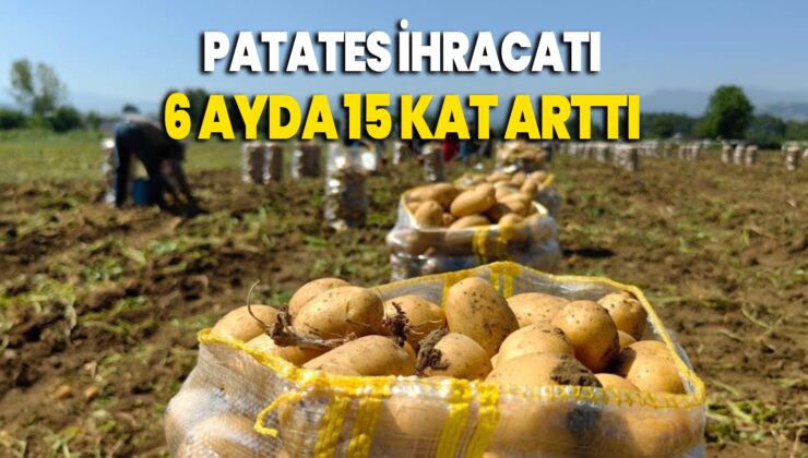 Patates Ihracatı 6 Ayda 15 Kat Arttı