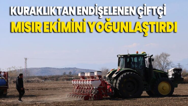 Kuraklıktan Endişelenen Çiftçi Mısır Ekimini Yoğunlaştırdı