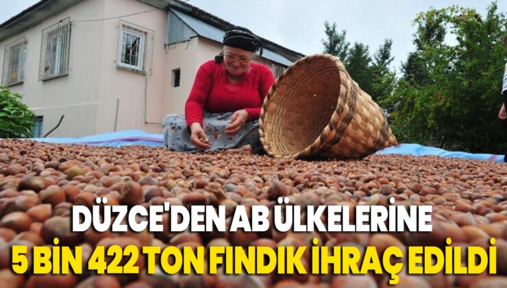 Düzce’Den Ab Ülkelerine 5 Bin 422 Ton Fındık Ihraç Edildi